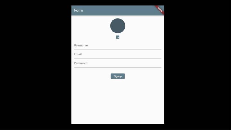 Formulario Registro Flutter